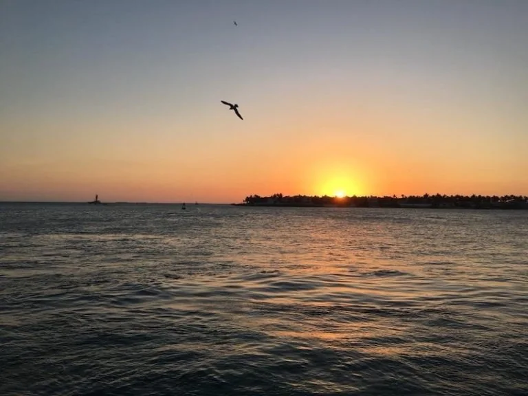 Best Things To Do in Key West