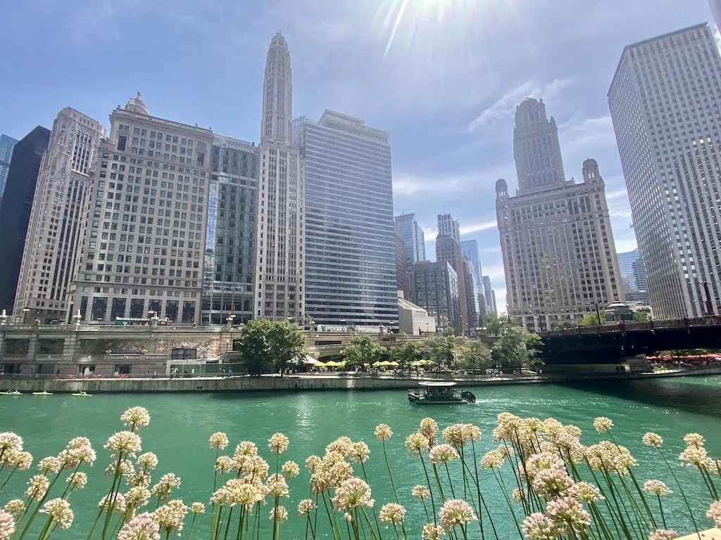 Summertime in Chicago, IL
