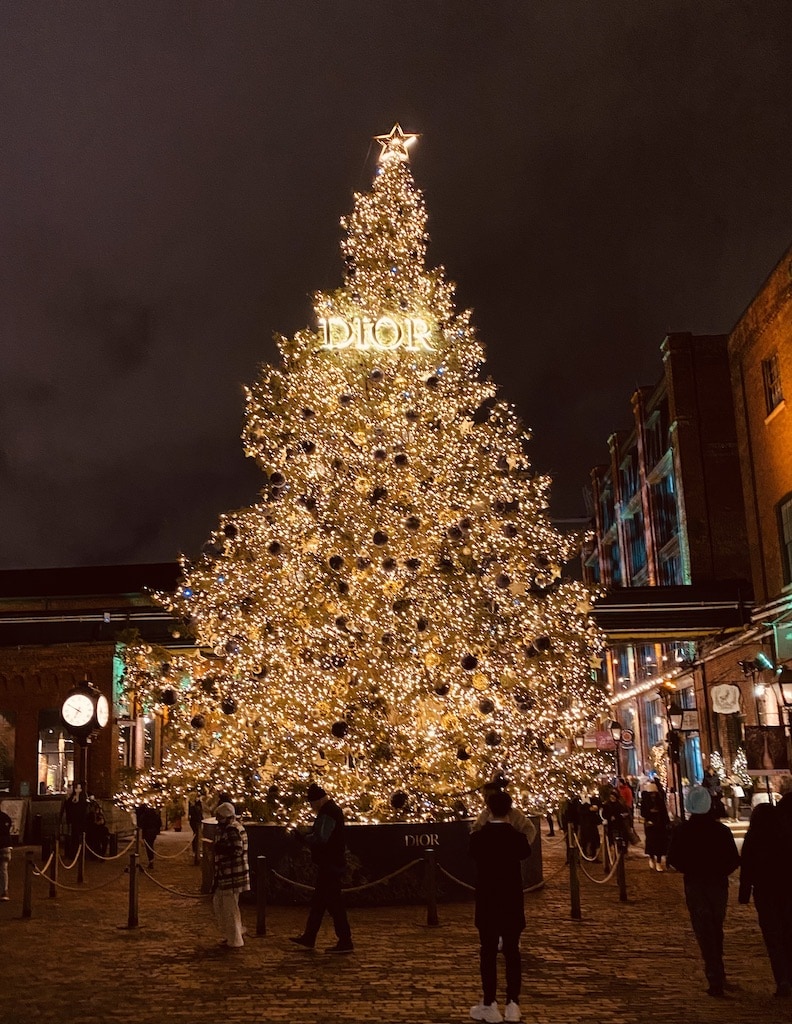 The Christmas tree at night at the Distillery Winter Village in Toronto, CA