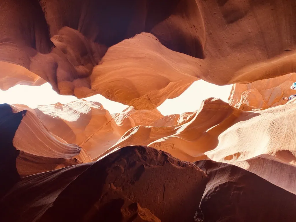 Looking up into the ceiling of Upper Antelope Canyon; Page, AZ