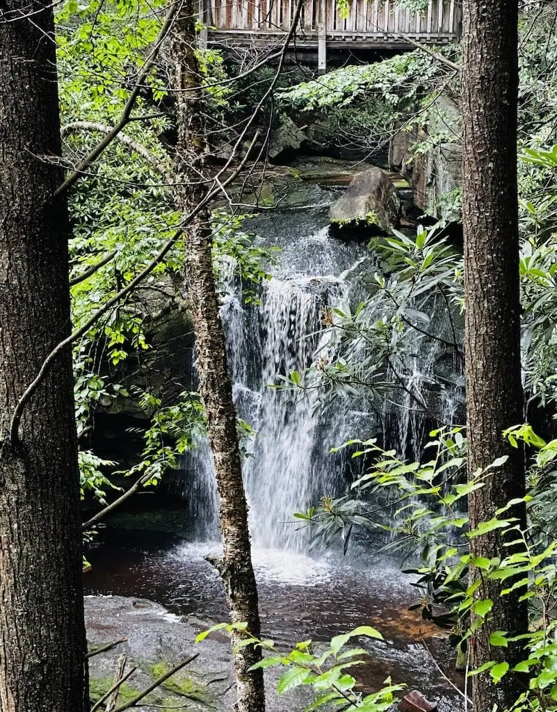 Elakala Falls in Davis, WV