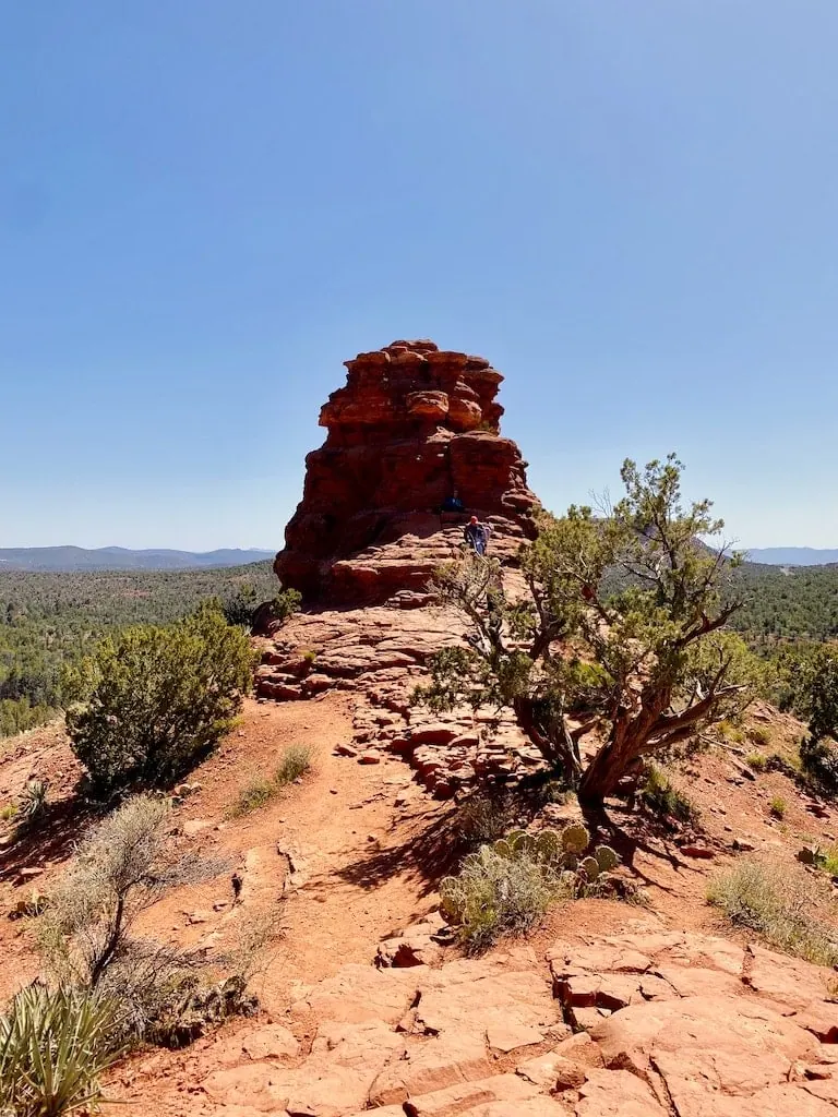 Boynton Canyon vortex site - Sedona, AZ