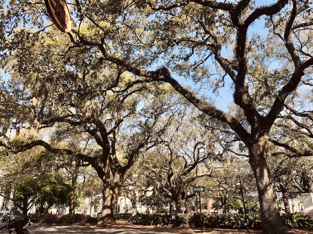 Savannah, GA