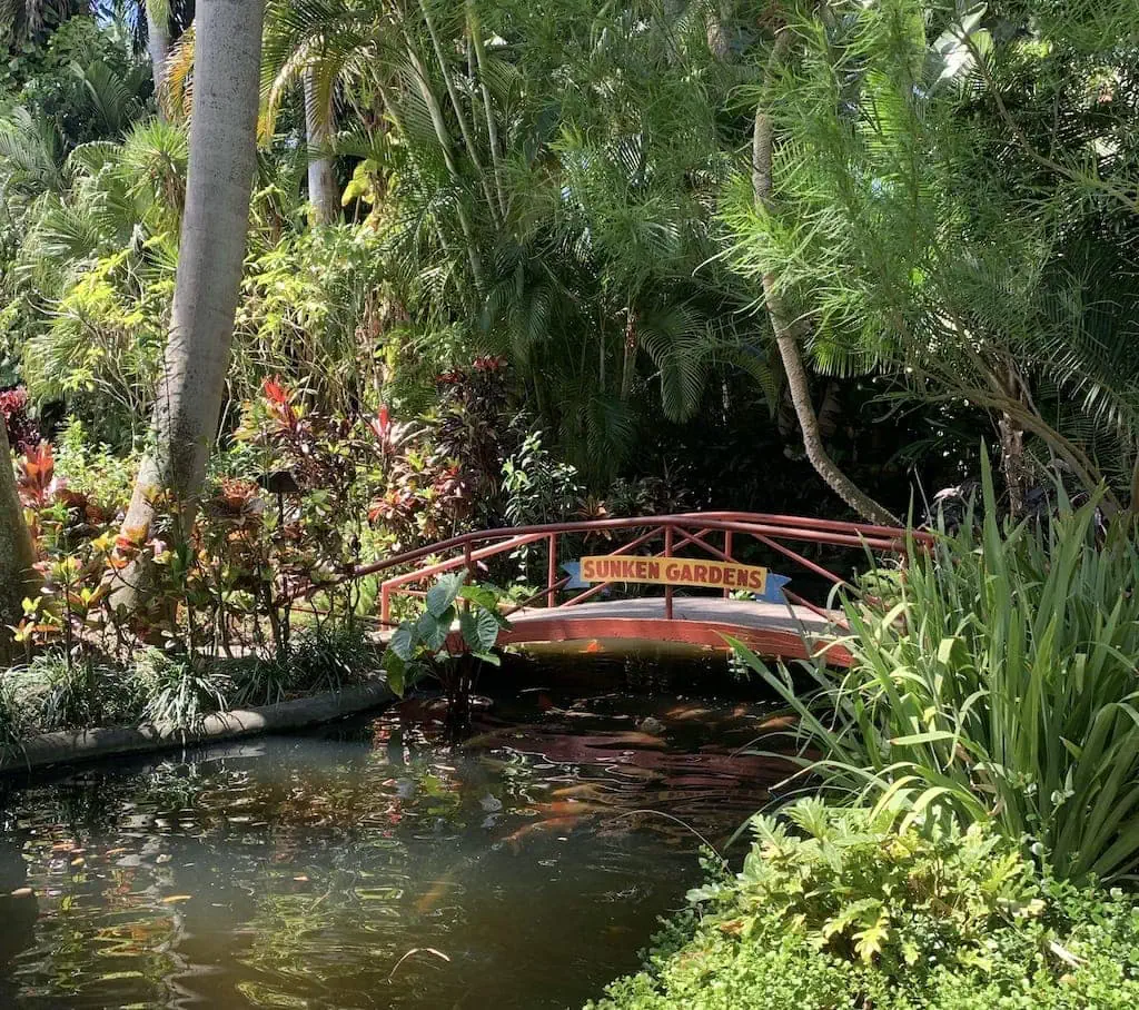 The Sunken Gardens in St. Petersburg, FL
