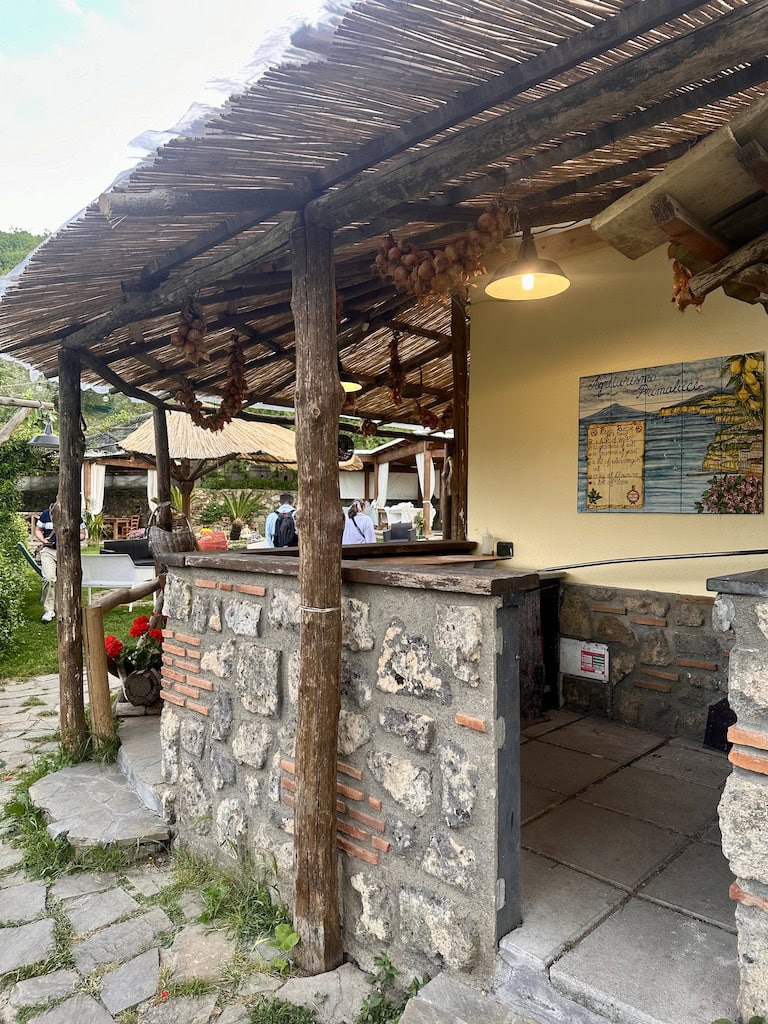 Pizza making class in Sorrento, Italy - family farm