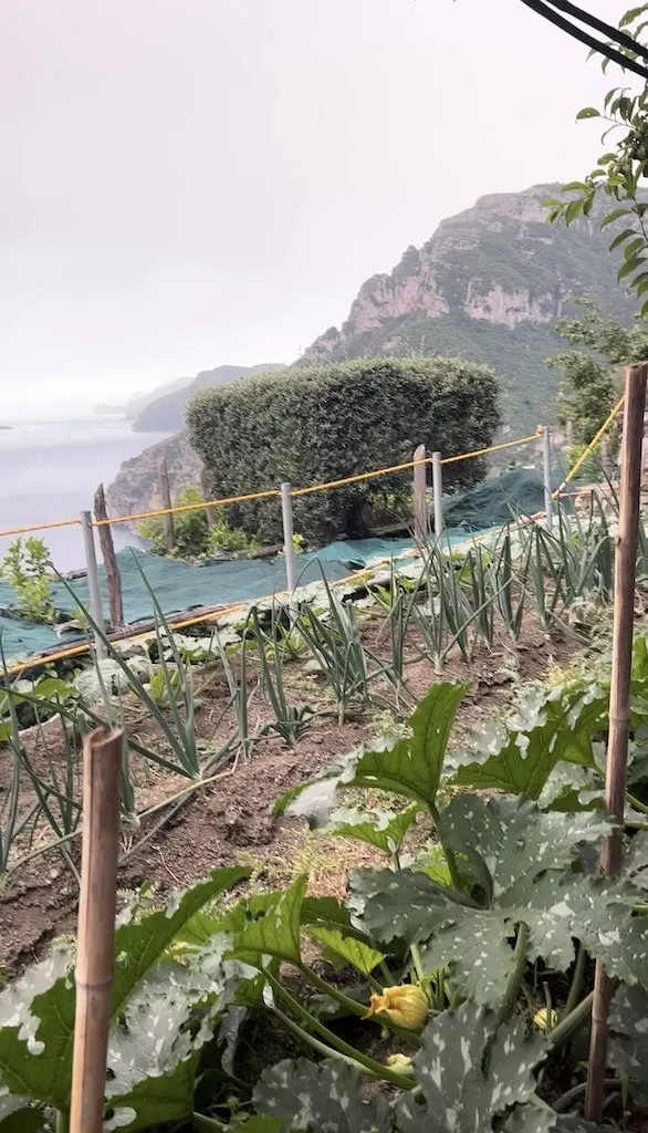 La Tagliata family farm
Positano, Italy