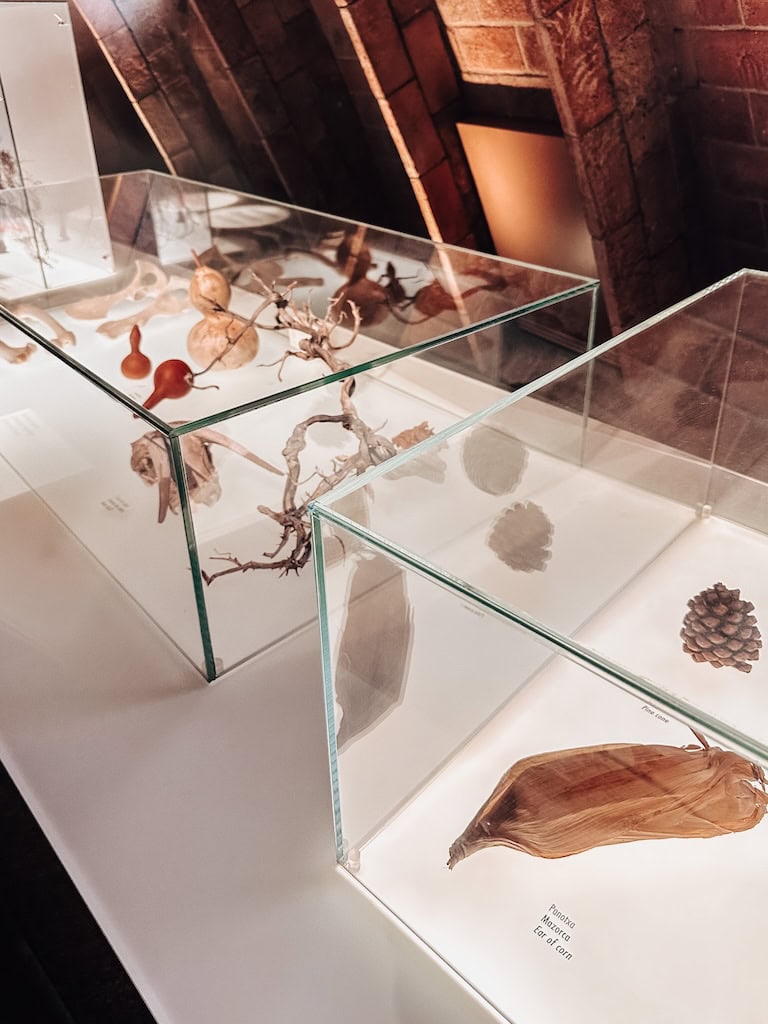 Some of the nature artifacts that inspired Gaudí's work inside Casa Mila; Barcelona, Spain