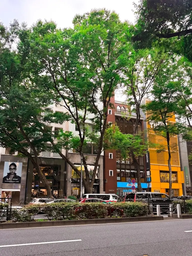 Omotesando Street; Tokyo, Japan